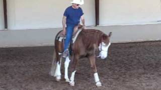 Trash TalkingunGunner Derby Reining Gelding For Sale [upl. by Halle]