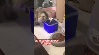 Pet water fountain LED light visual Cat or Dog Water Feeder petcare breadcat shortvideo シ゚viral [upl. by Ahsain]