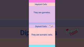 Haploid vs Diploid Cells [upl. by Lleder]