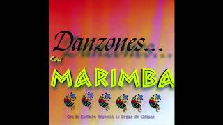 Marimba Orquesta La Reyna de Chiapas  Danzones Con Marimba Album Completo [upl. by Iturk]