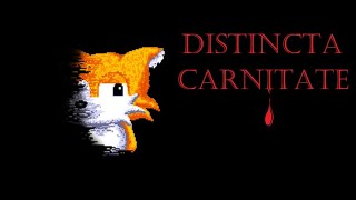 Sonic Was Happy He Would Never  Distincta Caritate [upl. by Ehpotsirhc271]