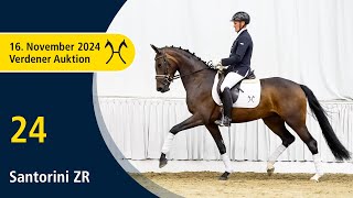 No 24 Santorini ZR by Sandro Hit  Royal Diamond  Verden Auction Online  Horses  November 16th [upl. by Urdna134]