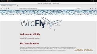 WildFly 18 Installation on Suse Linux Enterprise Desktop 15 and startstop servers in domain mode [upl. by Clerk]