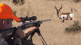 2 Trophy Antelope Hunts  Eastmans’ Hunting TV [upl. by Bardo951]