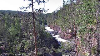 Oulanka Live Webcam Live Stream [upl. by Faustena]