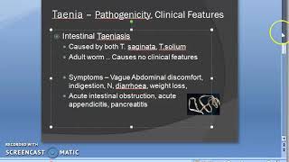 Parasitology 138 b Taenia Taeniasis cysticercosis NeuroCysticercosis ICSOL ocular [upl. by Nnylyoj353]