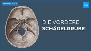 Vordere Schädelgrube  Anatomie einfach erklärt  Kenhub [upl. by Onibag]