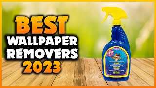 Top 5 Best Wallpaper Removers You can Buy Right Now 2024 [upl. by Iyre]