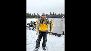 Shallow water walleye [upl. by Dnalevets]