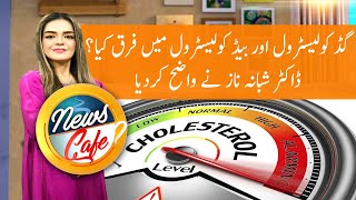 Difference Between Good Cholesterol And Bad Cholesterol  News Cafe  Abbtakk News [upl. by Bega]