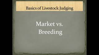 The Basics of Livestock Evaluation [upl. by Sharpe982]