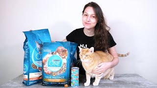 Purina ONE Cat Food Review We Tried It [upl. by Eelinej]