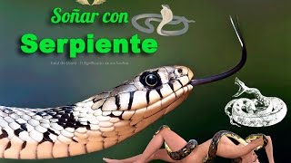 Qué Significa Soñar con Serpientes y Víboras🐍✨💤  El Significado de los Sueños [upl. by Phonsa]