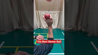 Decisive the Batsman 🏏 Fast bowling Tips ✔️ Saj Mahmood cricket cricketshorts fastbowling [upl. by Annekam]