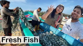 Fresh Fish Batticaloa  Sri Lanka Sea Food  Tamil Vlogs  Rj Chandru amp Menaka [upl. by Idnym830]