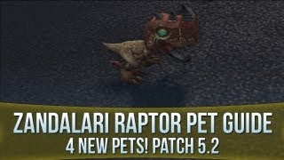 Zandalari Raptor Pets Guide 4 Pets Total  Patch 52 [upl. by Aikmat]