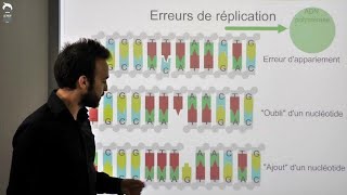 Les modifications de lADN et les agents mutagènes [upl. by Manup943]