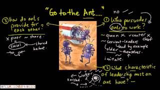 Go Learn from the Ant [upl. by Kopans211]