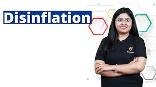 Disinflation Explained in 90 Seconds  Macro Economics  Ecoholics [upl. by Adiari]