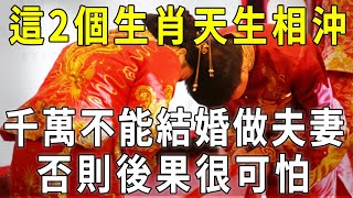 算命大師警告：這2個生肖天生相沖，千萬不能結婚做夫妻，否則後果很嚴重！【曉書說】 [upl. by Donaldson]