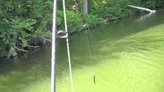 Big Bass Break Rods KeeP ReeLing [upl. by Anaes]