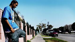 Nipsey Hussle  Hussle Rare [upl. by Eeryn172]