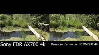 Sony FDR AX700 4k VS Panasonic Camcorder HC WXF991 4K at Three Rivers State Wildlife Management Area [upl. by Sebastian]