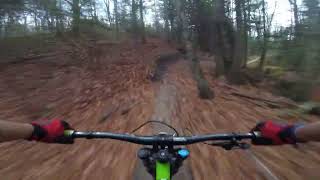 berms to sidewinder dh october 30 2024 eight laps after work [upl. by Hameerak]