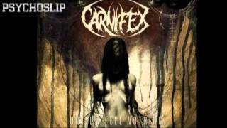 Carnifex  Wretched Entropy [upl. by Peggy]