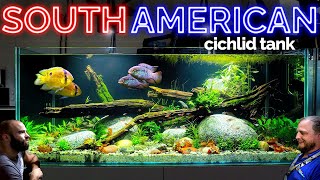 The South American Cichlid Aquarium EPIC 4ft Planted Tank Aquascape Tutorial [upl. by Roseann247]