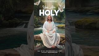 You Are Holy  Hillsong Worship  Shalom Harmony Band hillsong hillsongworship masihigeet jesus [upl. by Oralle]