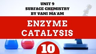 Enzyme CatalysisPart 10 Cbse grade 12 surface chemistryUnit 5 tricks Vani maam [upl. by Terle]