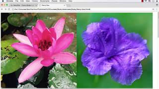 Easy Image Slide Show using fancyBox Tool  Part 1 [upl. by Lainad]