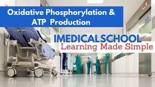 Oxidative Phosphorylation and ATP Production Made Simple [upl. by Otilia]