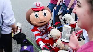 Brutus Buckeye Nationals Video 20172018 [upl. by Ryhpez]