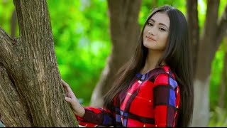 Yekli Wakhal Sina  Aj Maisnam Bikash amp Gepelina  Official Music Video Release 2017 [upl. by Ivgnout]