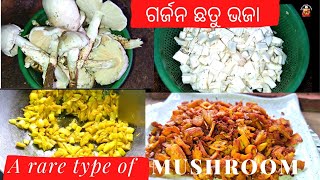 ମାଙ୍କ ହାତ ତିଆରି ଗର୍ଜନ ଛତୁ ଭଜାchhatu bhaja recipechhatu bhaja recipe in odiamushroom recip [upl. by Williamson]