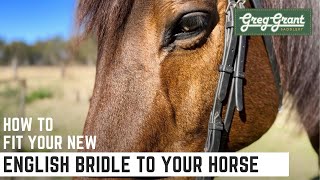 How to Fit Your New English Bridle to Your Horse  Greg Grant Saddlery [upl. by Oicam138]