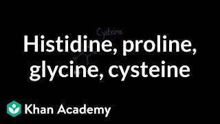 Special cases Histidine proline glycine cysteine  MCAT  Khan Academy [upl. by Melosa]