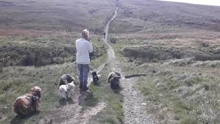 Standedge Canal Tunnel Marsden Circular Walk Peak District UK [upl. by Yedrahs]