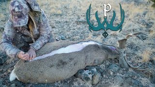 The Gutless Field Dressing Method with Kristy Titus [upl. by Eslek]