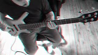 snarkypuppy  Trinity Bass Cover [upl. by Tnafni]