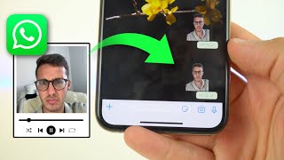 Crear STICKERS ANIMADOS en WhatsApp fácil y sin fondo ✅ [upl. by Coulter]