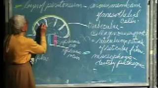 Integrative Biology 131  Lecture 18 Lymphatic System [upl. by Wertheimer]