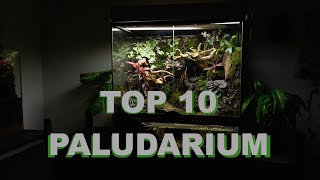 Top 10 Best Paludarium Design [upl. by Oah]