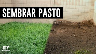 Cómo SEMBRAR SEMILLA de PASTO en tu patio o tu jardín  MEJORA TU CASA DIY [upl. by Uball]