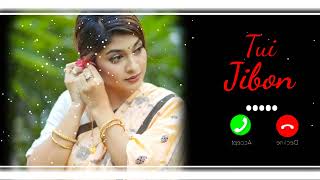 Tui Jibon Natok Ringtone  তুই জীবন Musfiq R Farhan  Aisha Khan  Bangla New Natok Ringtone 2024 [upl. by Gib318]