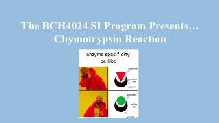 Chymotrypsin mechanism [upl. by Nahk]