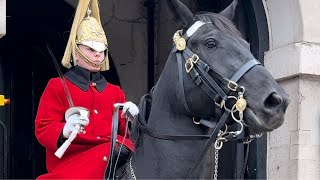 Remarkable Horsemanship Kings Guard Expertly Calms a Frightened Horsequot [upl. by Nekciv]