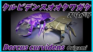 クルビデンスオオクワガタおりがみDorcus curvidens Origami多库斯曲线多库斯希望折纸쿠루비덴스 오 오크와 가타 종이 접기Origami tupai Dorcus [upl. by Mosa]